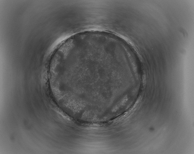 X0000111871359200908131602