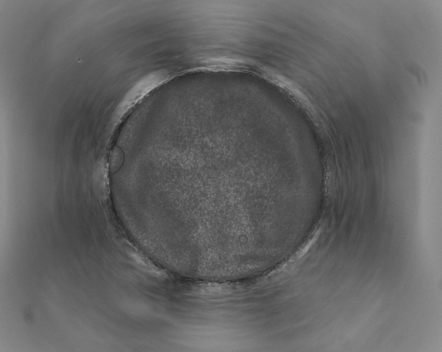 X0000111871362200908131602