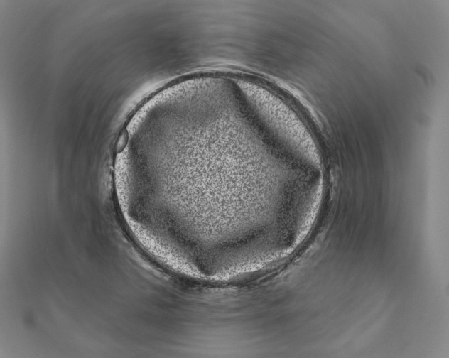 X0000111871363200908131602