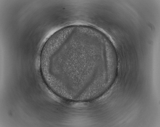 X0000111871367200908131602