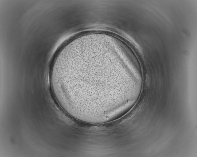 X0000111871368200908131602