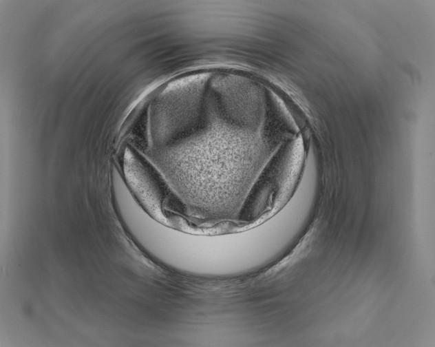 X0000111871369200908131602