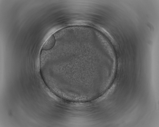 X0000111871370200908131602