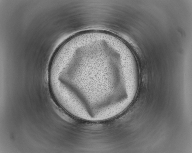 X0000111871372200908131602