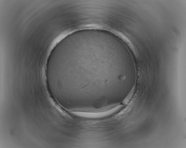 X0000111871373200908131602