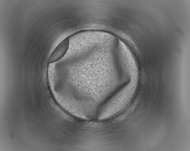 X0000111871374200908131602