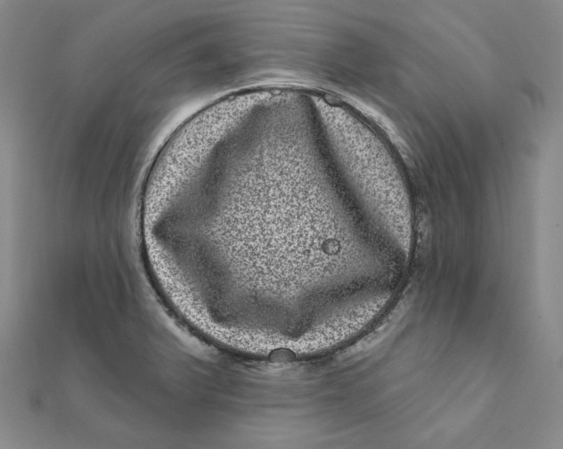 X0000111871375200908131602