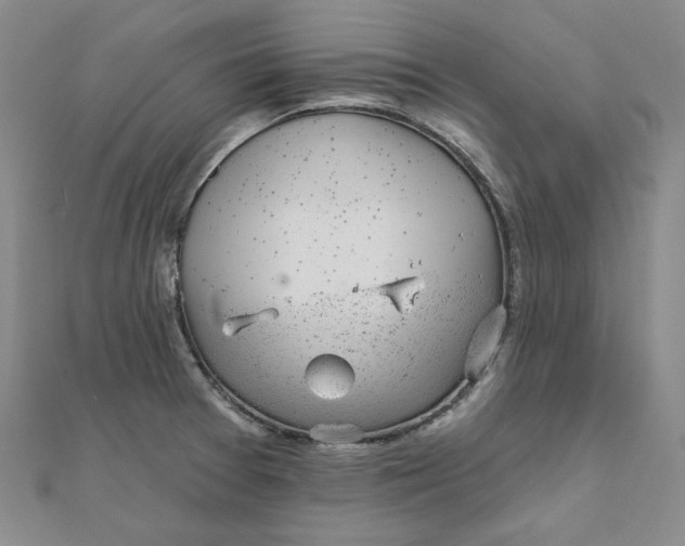 X0000111871377200908131602