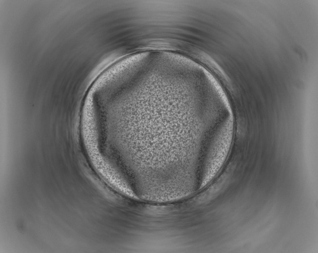 X0000111871378200908131602