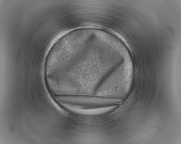 X0000111871379200908131602