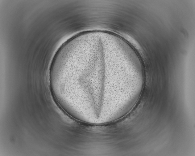 X0000111871380200908131602