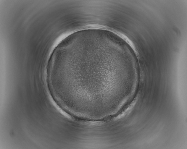 X0000111871381200908131602