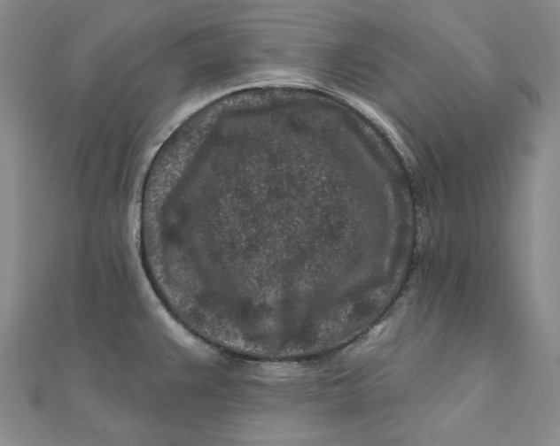 X0000111871383200908131602