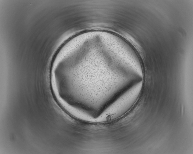 X0000111871384200908131602