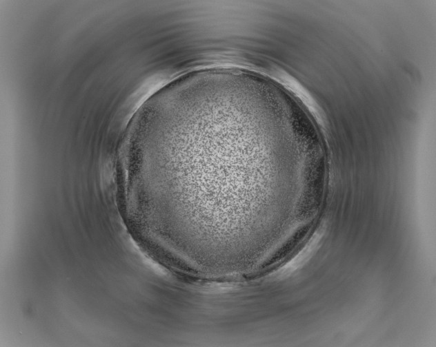 X0000111871385200908131602