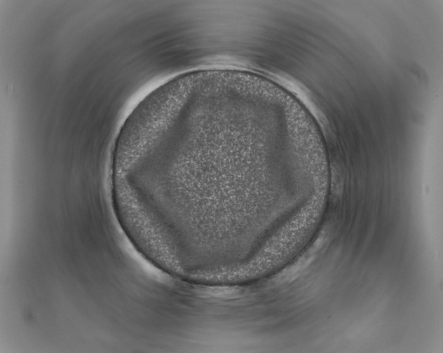 X0000111871387200908131602