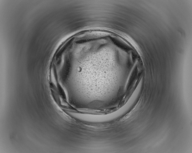 X0000111871388200908131602