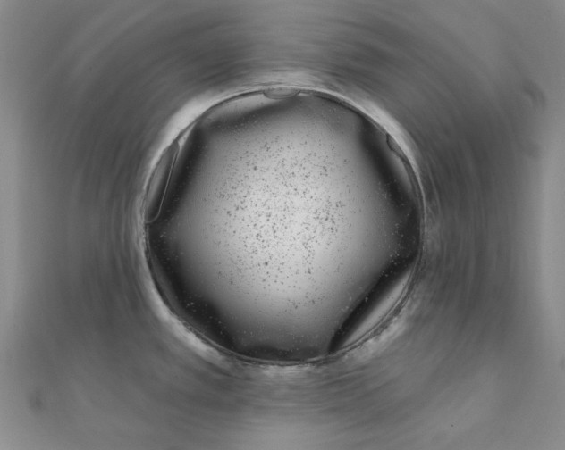 X0000111871389200908131602