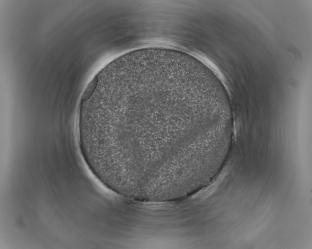 X0000111871391200908131602