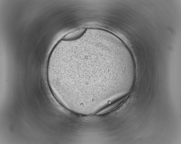 X0000111871392200908131602