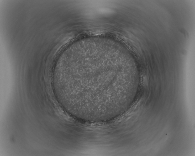 X0000111871393200908131601