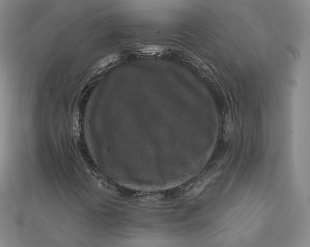 X0000111871394200908131601