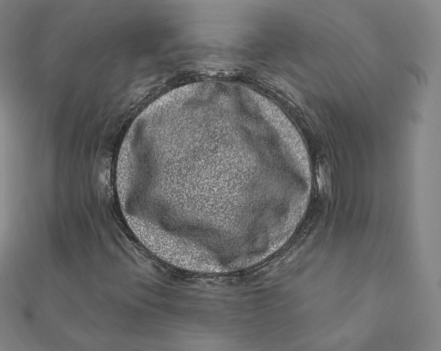 X0000111871396200908131601