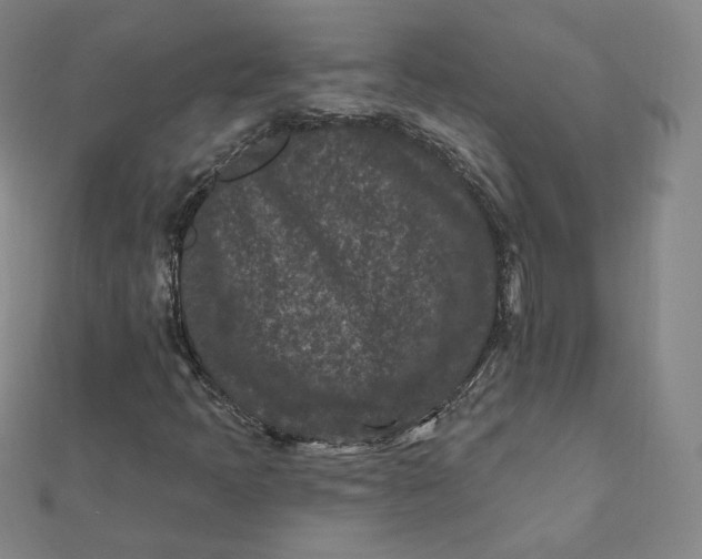 X0000111871397200908131601