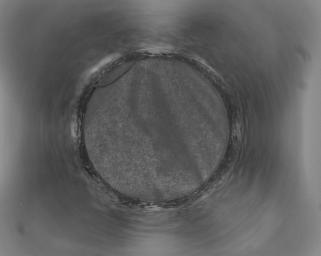 X0000111871398200908131601