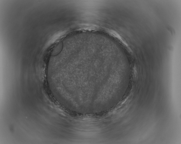 X0000111871399200908131601