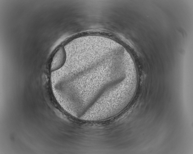 X0000111871400200908131601