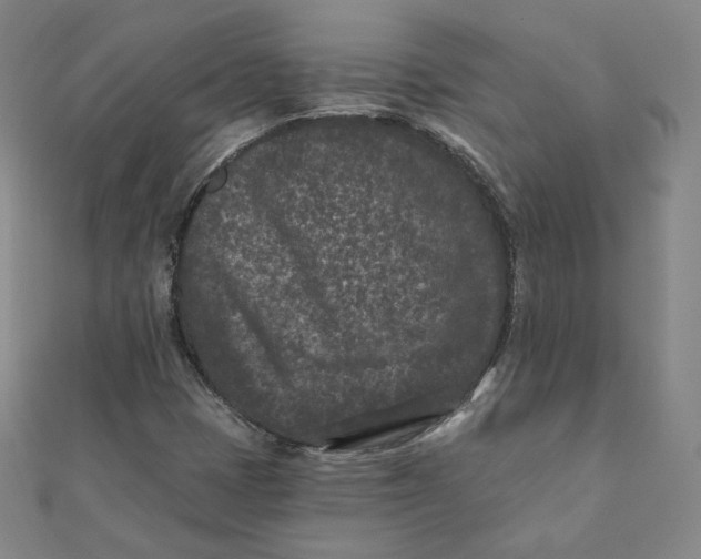 X0000111871401200908131601