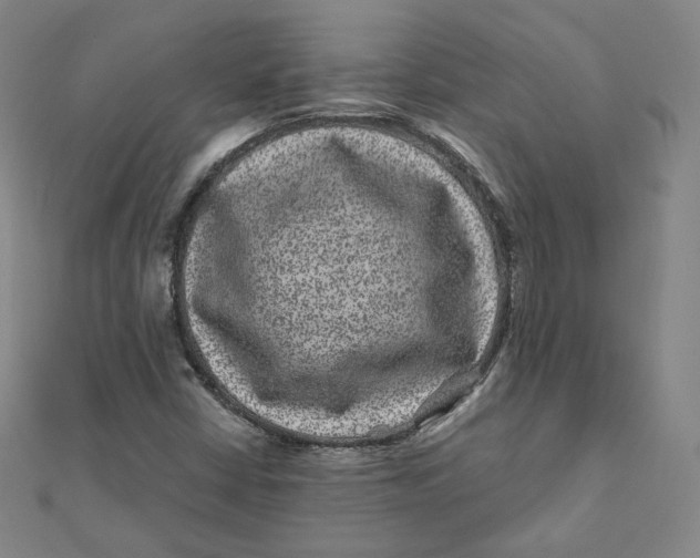 X0000111871402200908131601