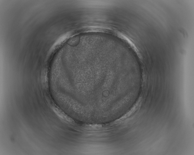 X0000111871403200908131601