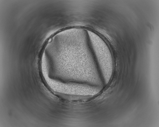 X0000111871404200908131601