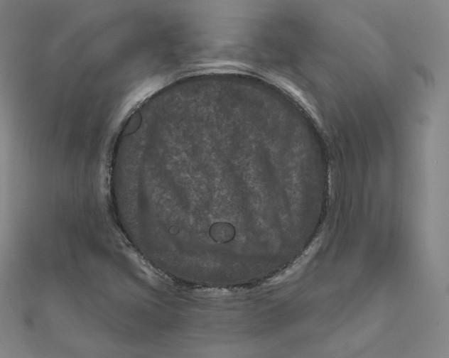 X0000111871405200908131601