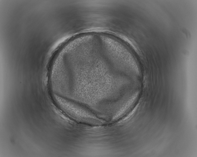 X0000111871406200908131601