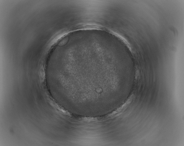 X0000111871407200908131601