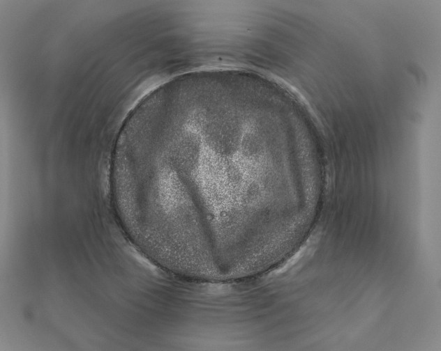 X0000111871409200908131601