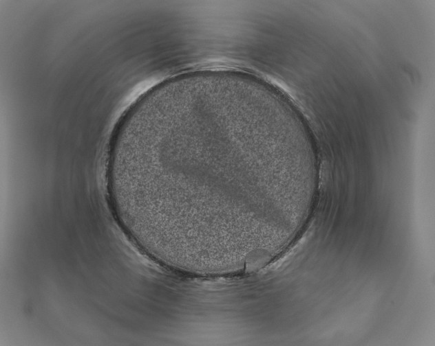 X0000111871410200908131601