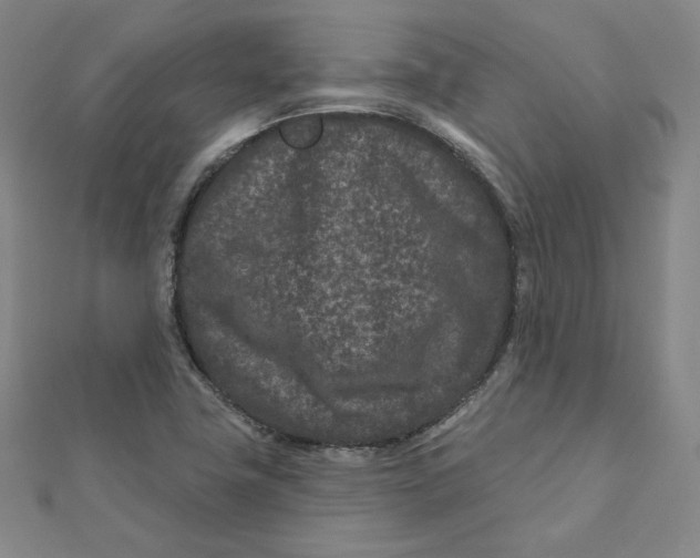 X0000111871411200908131601