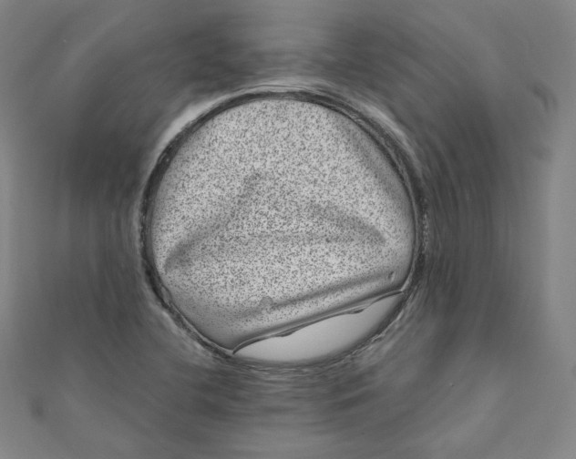 X0000111871412200908131601