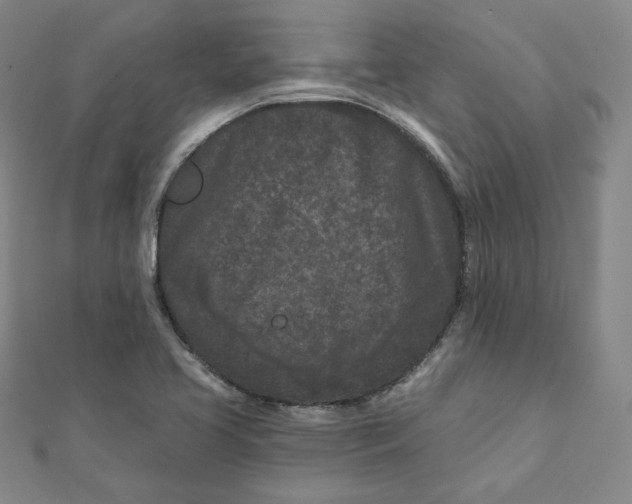 X0000111871413200908131601