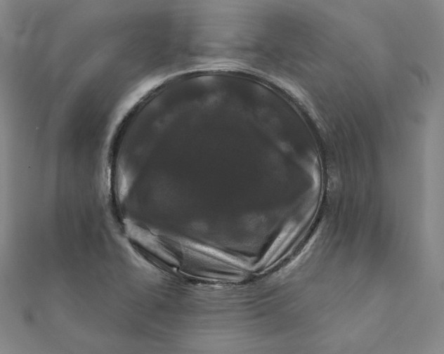 X0000111871414200908131601