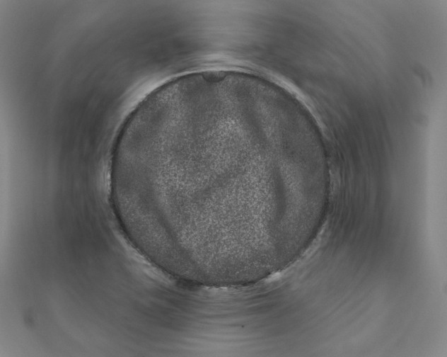 X0000111871415200908131602