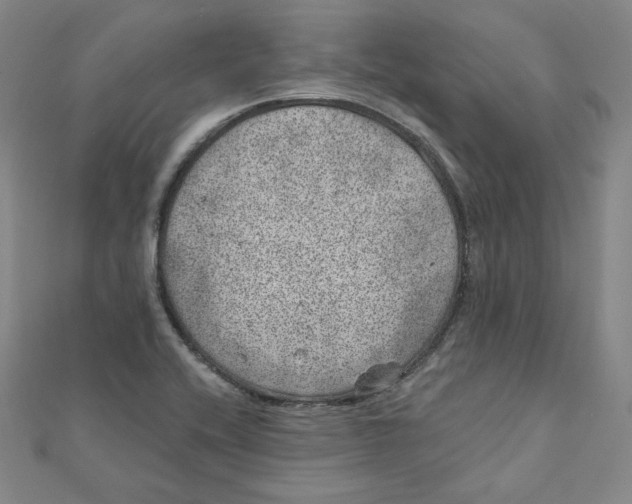 X0000111871416200908131602