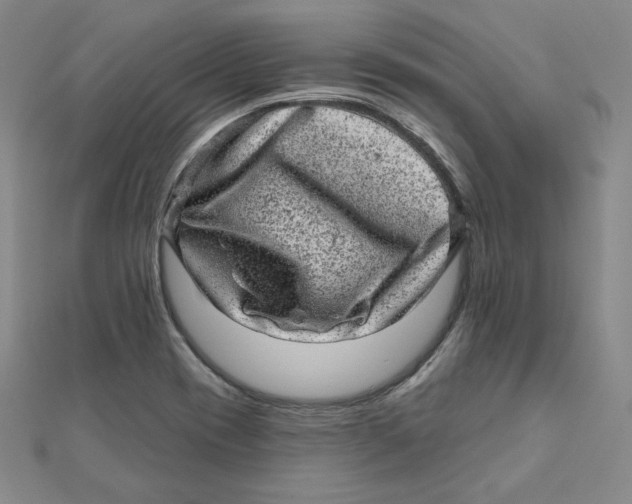 X0000111871417200908131602