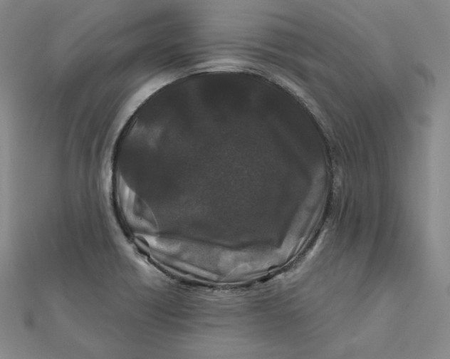 X0000111871418200908131602