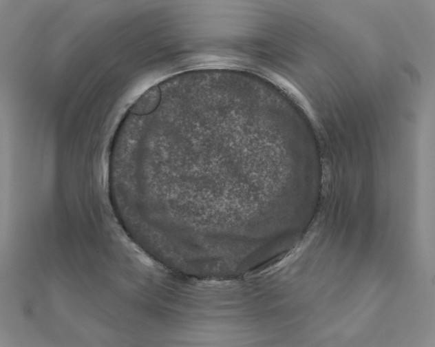 X0000111871419200908131602