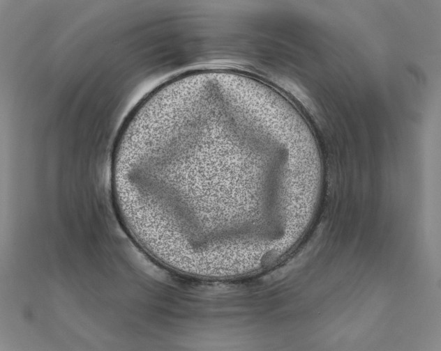 X0000111871420200908131602